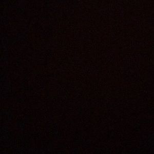 Meet your Posher, Luna